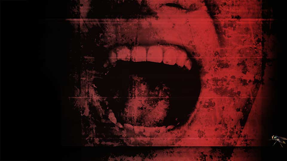 underrated horror books - the ceremonies